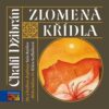 Zlomená křídla
