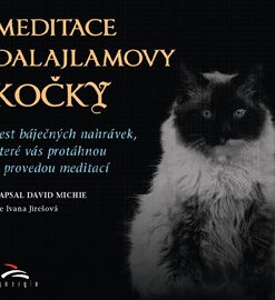 Meditace dalajlamovy kočky