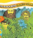 The Beach Boys – Endless Summer – LP