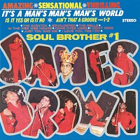 James Brown & The Famous Flames – It's A Man's Man's Man's World – LP