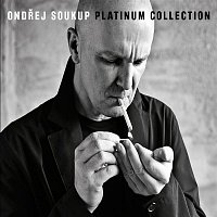 Aňa Geislerová – Platinum Collection – CD