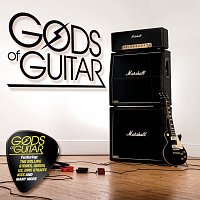 Různí interpreti – Gods of Guitar – CD