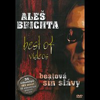 Aleš Brichta – Best Of Videos - Beatová síň slávy DVD