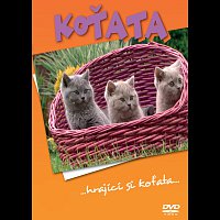 Různí interpreti – Koťata ...hrající si koťata... DVD