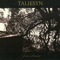 Taliesyn – Jižní Amnésie CD