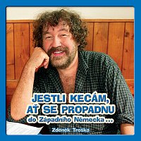 Zdeněk Troška – Jestli kecám