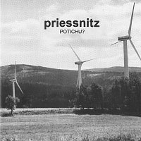 Priessnitz – Potichu? CD