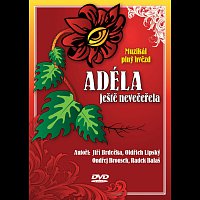 Různí interpreti – Muzikál: Adéla ještě nevečeřela – DVD