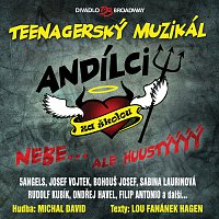 Různí interpreti – Muzikál: Andílci za školou – CD