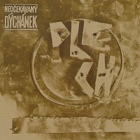 Neočekávaný dýchánek – Plech – CD