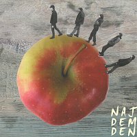 Karel Vepřek – Najdem den – CD