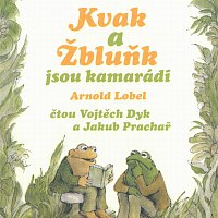 Vojtěch Dyk