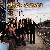 Lynyrd Skynyrd – Pronounced Leh-Nerd Skin-Nerd – LP