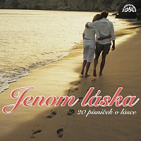 Různí interpreti – Jenom láska – CD