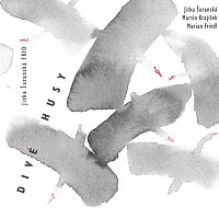Jitka Šuranská Trio – Divé husy – CD