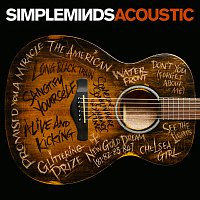 Simple Minds – Acoustic – DVD