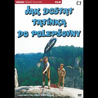 Různí interpreti – Jak dostat tatínka do polepšovny – DVD