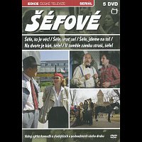 Různí interpreti – Šéfové – DVD