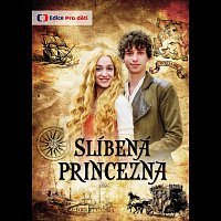 Různí interpreti – Slíbená princezna – DVD