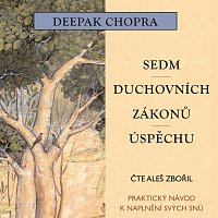 Aleš Zbořil – Sedm duchovních zákonů úspěchu (MP3-CD) – CD-MP3