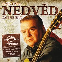 František Nedvěd – Galerie pisni – CD