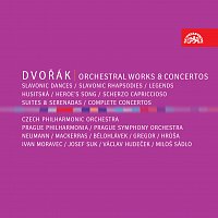 Různí interpreti – Dvořák: Orchestrální dílo – CD