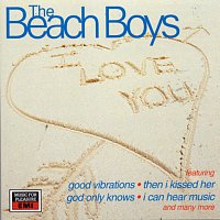 The Beach Boys – 20 Great Love Songs – CD