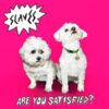 Slaves – Are You Satisfied? LP
