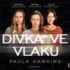 Dívka ve vlaku