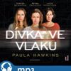 Dívka ve vlaku