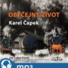 Obyčejný život
