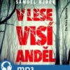 V lese visí anděl