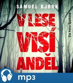V lese visí anděl