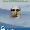 Život Ježíšův na Zemi